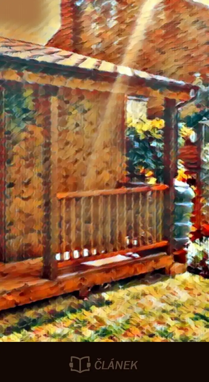 Milovník filmů si zahradní domek předělal na soukromé kino