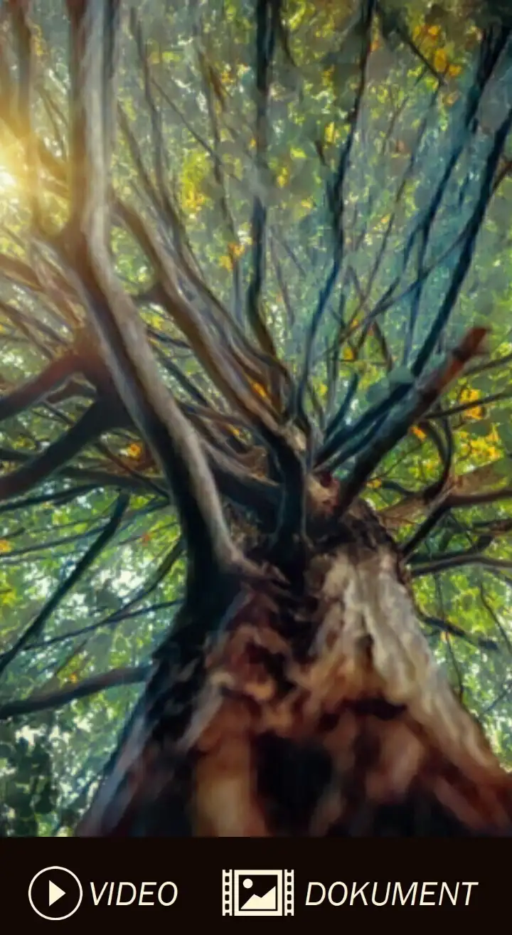 Inteligentní stromy (2016)