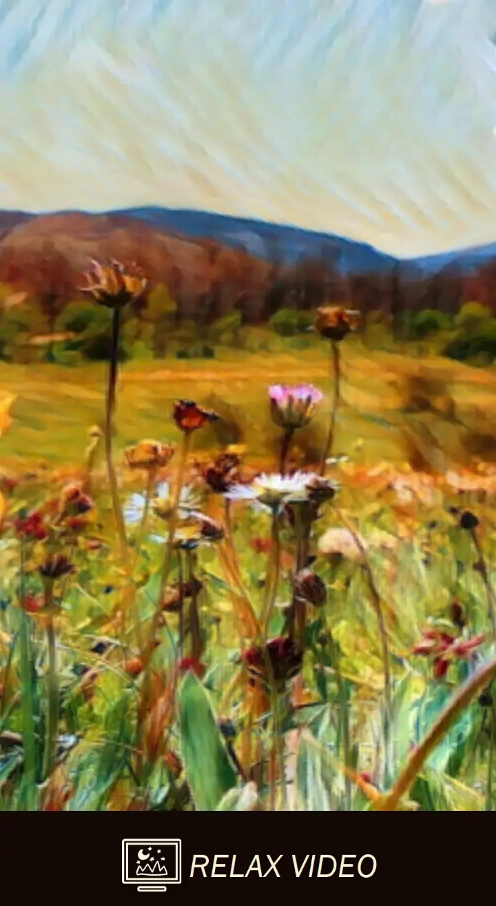 Rozkvetlá louka za letního dne