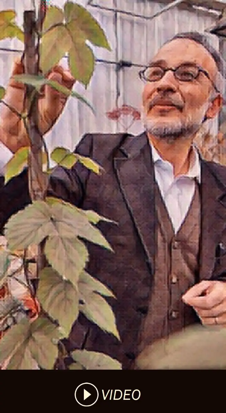 Stefano Mancuso: Kořeny rostlinné inteligence (cz titulky – 2010)