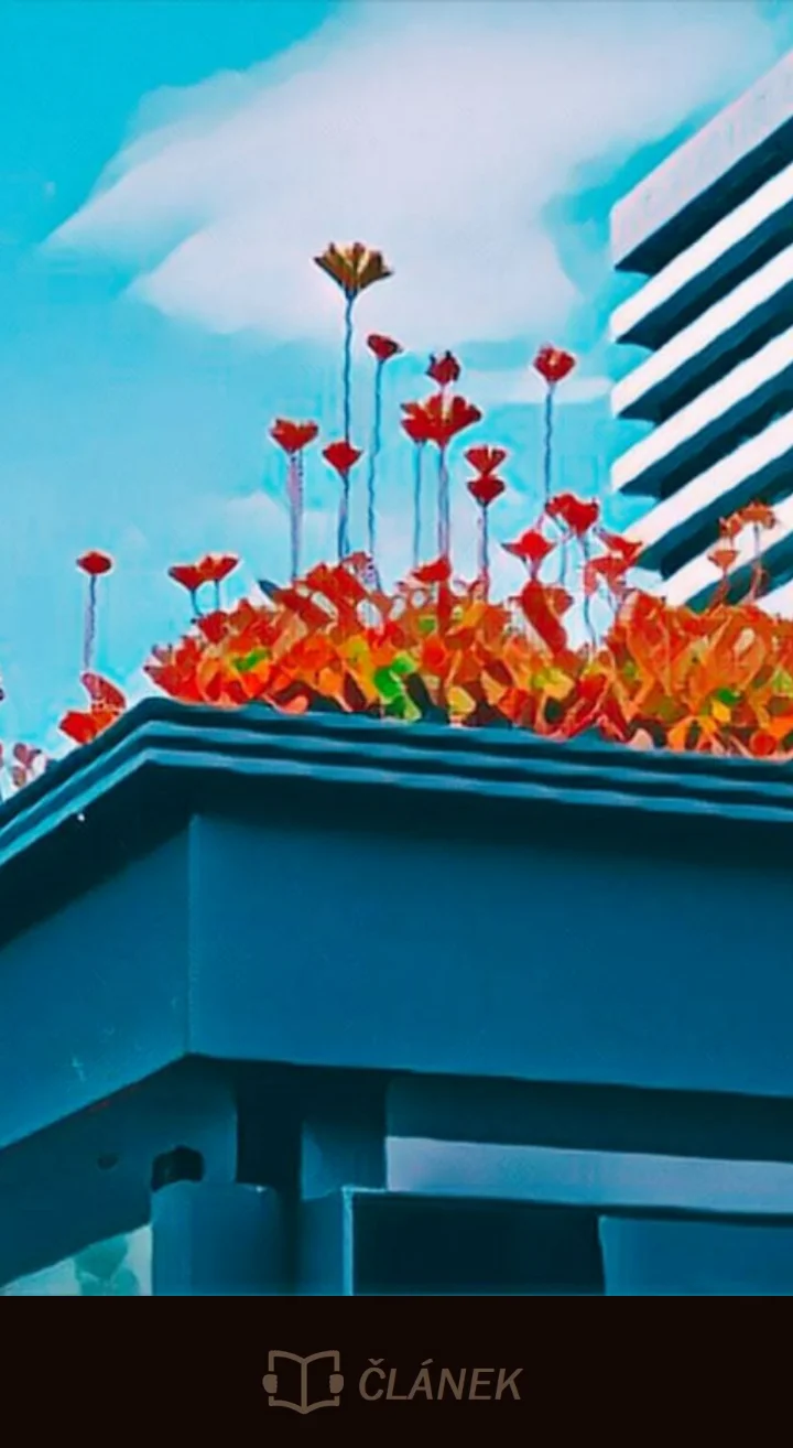 Zelené střechy zastávek jako zahrádky pro včely a motýli