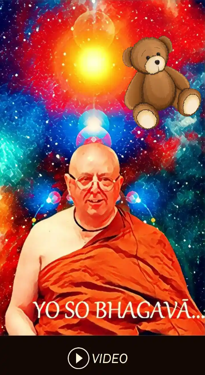 Ajahn Brahm: Jak jsem (ne)dosáhl osvícení (2021)